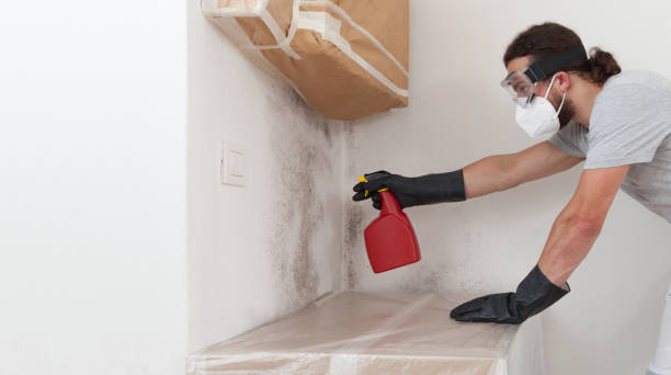 Attic Mold Remediation treatment on roof deck in Millington